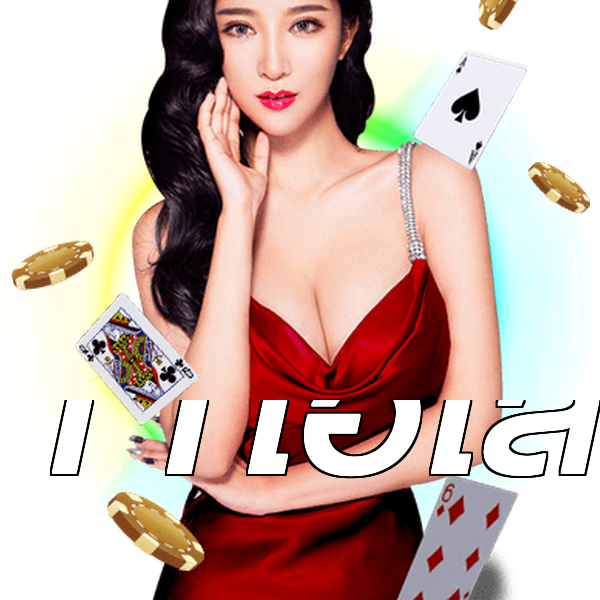 11ไฮโล